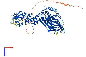 AlphaFold protein structure predicition of Human Recombinant GMCL1 Protein, UniprotID Q96IK5