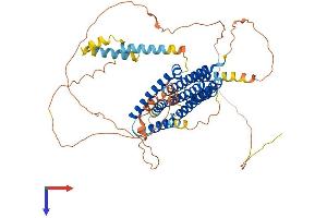 AlphaFold protein structure predicition of Mouse Recombinant Fam114a1 Protein, UniprotID Q9D281