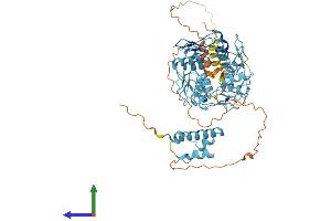 AlphaFold protein structure predicition of Human Recombinant ZNF354C Protein, UniprotID Q86Y25
