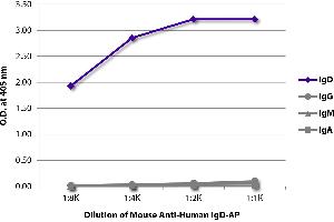 ELISA plate was coated with purified human IgD, IgG, IgM, and IgA. (Souris anti-Humain IgD (Heavy Chain) Anticorps (Alkaline Phosphatase (AP)))