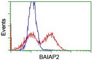 Flow Cytometry (FACS) image for anti-BAI1-Associated Protein 2 (BAIAP2) antibody (ABIN1496806) (BAIAP2 anticorps)