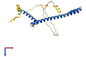AlphaFold protein structure predicition of Mouse Recombinant Hes6 Protein, UniprotID Q9JHE6