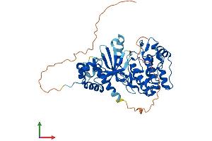AlphaFold protein structure predicition of Human Recombinant NIM1K Protein, UniprotID Q8IY84