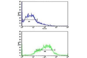Flow cytometric analysis of HepG2 cells using EphA1 antibody (green) compared to a negative control (blue).