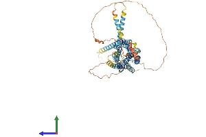 AlphaFold protein structure predicition of Mouse Recombinant Gpr176 Protein, UniprotID Q80WT4