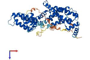 AlphaFold protein structure predicition of Mouse Recombinant Rasgef1c Protein, UniprotID Q9D300