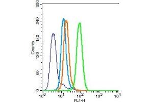 Human HL-60 cells probed with Bax Polyclonal Antibody, Unconjugated  (green) at 1:30 for 30 minutes followed by a FITC conjugated secondary antibody compared to unstained cells (blue), secondary only (light blue), and isotype control (orange).