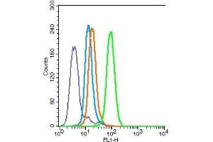 Flow Cytometry (FACS) image for anti-BCL2-Associated X Protein (BAX) (AA 84-175) antibody (ABIN725390)
