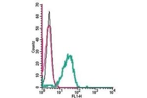 Cell surface detection of SLC11A1 in live intact human THP-1 monocytic leukemia cells: (black line) Cells.