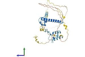 AlphaFold protein structure predicition of Human Recombinant ATXN7L3 Protein, UniprotID Q14CW9