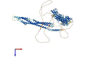 AlphaFold protein structure predicition of Mouse Recombinant Asap2 Protein, UniprotID Q7SIG6