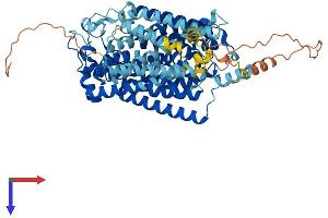 AlphaFold protein structure predicition of Mouse Recombinant Slc5a9 Protein, UniprotID Q8VDT1
