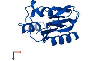 AlphaFold protein structure predicition of Human Recombinant AAMDC Protein, UniprotID Q9H7C9