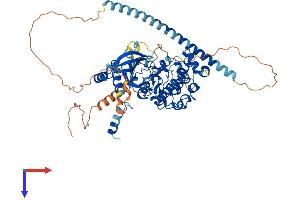 AlphaFold protein structure predicition of Mouse Recombinant Dmpk Protein, UniprotID P54265