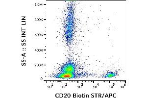 Surface staining of human peripheral blood with anti-CD20 (2H7) biotin, streptavidin. (CD20 anticorps  (Biotin))