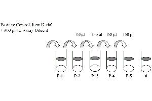 Epidermal Growth Factor Receptor (EGFR) ELISA Kit