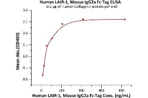 Immobilized Human Collagen I protein at 2 μg/mL (100 μL/well) can bind Human LAIR-1, Mouse IgG2a Fc Tag (ABIN6992424) with a linear range of 10-78 ng/mL (QC tested).