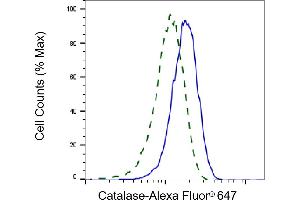 Flow cytometric analysis of Catalase expression in HepG2 cells using Catalase antibody (ABIN7797918), 1:2,000). (Recombinant Catalase anticorps)