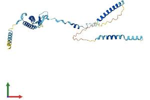 AlphaFold protein structure predicition of Mouse Recombinant Isy1 Protein, UniprotID Q69ZQ2