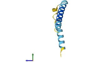 AlphaFold protein structure predicition of Mouse Recombinant Serf1 Protein, UniprotID O88892