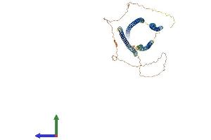 AlphaFold protein structure predicition of Mouse Recombinant Spdl1 Protein, UniprotID Q923A2