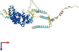 AlphaFold protein structure predicition of Human Recombinant ST7 Protein, UniprotID Q9NRC1