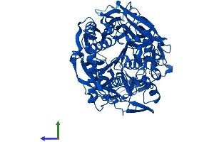 AlphaFold protein structure predicition of Mouse Recombinant Prep Protein, UniprotID Q9QUR6