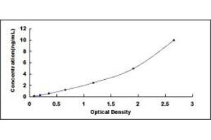 Typical standard curve (DAP Kinase 1 Kit ELISA)