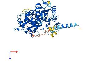 AlphaFold protein structure predicition of Human Recombinant B3GNT8 Protein, UniprotID Q7Z7M8