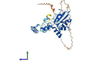 AlphaFold protein structure predicition of Human Recombinant METTL8 Protein, UniprotID Q9H825