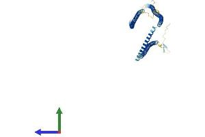 AlphaFold protein structure predicition of Human Recombinant CFAP53 Protein, UniprotID Q96M91