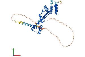 AlphaFold protein structure predicition of Mouse Recombinant Six1 Protein, UniprotID Q62231