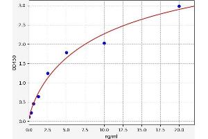Resistin (RETN) ELISA Kit