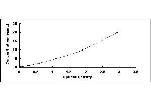 Typical standard curve (DLGAP5 Kit ELISA)