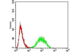 Flow cytometric analysis of Hela cells using YWHAB mouse mAb (green) and negative control (red).