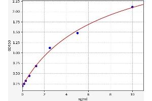 Typical standard curve (ABCB5 Kit ELISA)