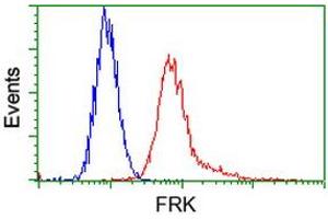 Image no. 2 for anti-Fyn-Related Kinase (FRK) antibody (ABIN1498313) (FRK anticorps)