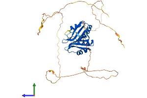 AlphaFold protein structure predicition of Mouse Recombinant Rbms2 Protein, UniprotID Q8VC70