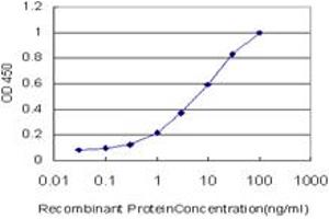 Detection limit for recombinant GST tagged EGR1 is approximately 0. (EGR1 anticorps  (AA 444-543))