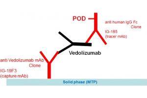 Image no. 1 for Vedolizumab Specific ELISA Kit (ABIN5519326) (Vedolizumab Specific Kit ELISA)