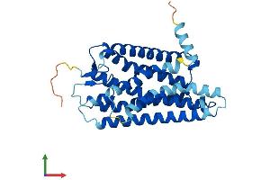 AlphaFold protein structure predicition of Human Recombinant OR5D14 Protein, UniprotID Q8NGL3 (OR5D14 Protein (AA 1-314) (His tag))