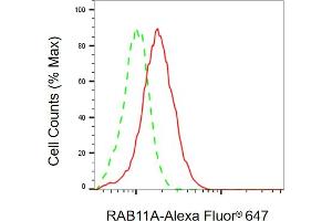 Flow cytometric analysis of RAB11A expression in HAP-1 cells using RAB11A antibody (ABIN7800088), 1:2,000). (RAB11A anticorps)