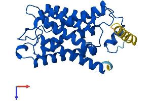 AlphaFold protein structure predicition of Human Recombinant AQP5 Protein, UniprotID P55064