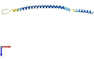 AlphaFold protein structure predicition of Human Recombinant BET1 Protein, UniprotID O15155