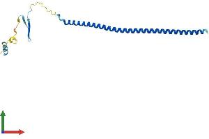 AlphaFold protein structure predicition of Mouse Recombinant Stmn3 Protein, UniprotID O70166