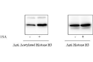 COS cells were treated or untreated with TSA. (Histone 3 Kit ELISA)