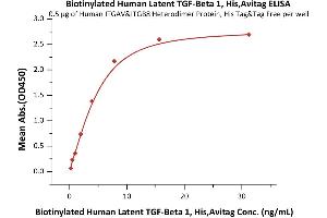 Immobilized Human ITGAV&ITGB8 Heterodimer Protein, His Tag&Tag Free (ABIN4949120,ABIN4949121) at 5 μg/mL (100 μL/well) can bind Biotinylated Human Latent  1, His,Avitag (ABIN6386432,ABIN6388257) with a linear range of 0. (TGFB1 Protein (AA 30-390) (His tag,AVI tag,Biotin))