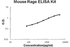 Mouse RAGE PicoKine ELISA Kit standard curve