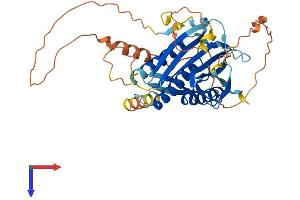 AlphaFold protein structure predicition of Mouse Recombinant Hormad1 Protein, UniprotID Q9D5T7