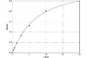 Microsomal Triglyceride Transfer Protein (MTTP) ELISA Kit